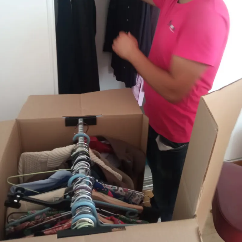 Vêtements transférés en carton penderie